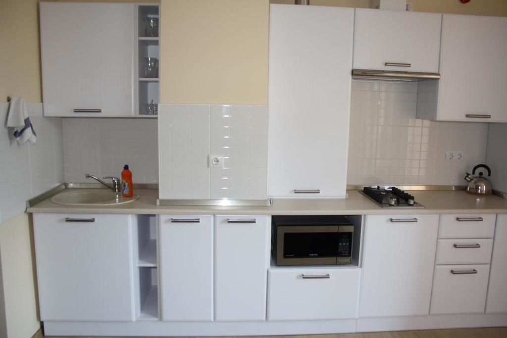 Апартаменты Apartment Svetlogorsk Светлогорск-49